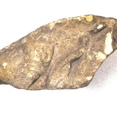 Fragment of an Anglo-Saxon Cross from Crayke - (rear YORYM : 1995.48.ii)