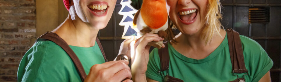 Storycraft Theatre: Ralf the Robin’s Christmas Party