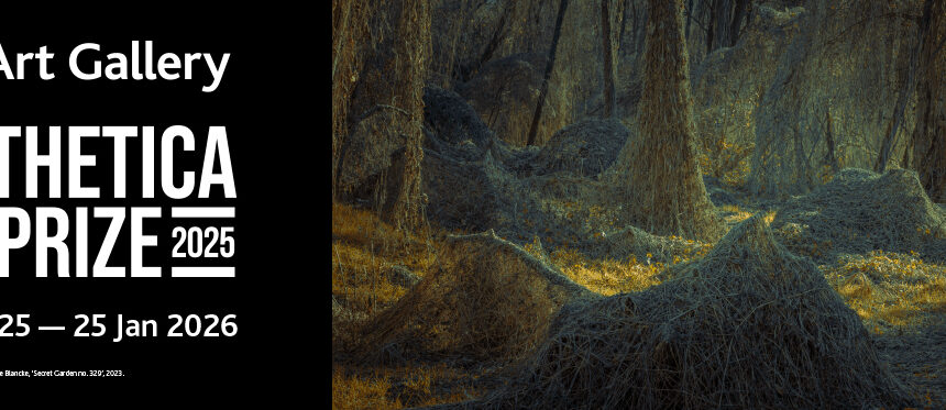 Aesthetica Art Prize 2025