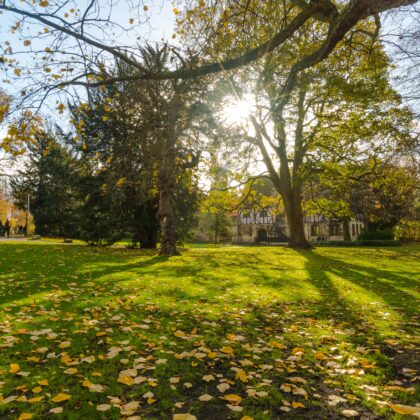 Curious and Creative Gardening Tour: Wildlife-Friendly Museum Gardens