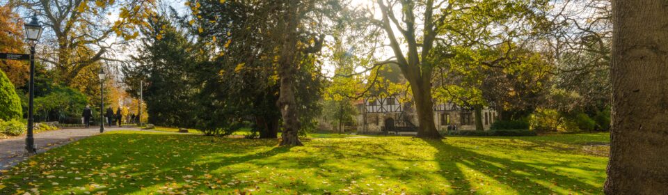 Curious and Creative Gardening Tour: Wildlife-Friendly Museum Gardens