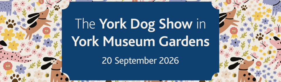 York Dog Show