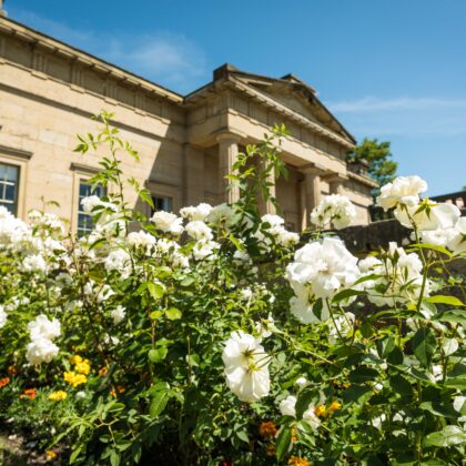 Evening in the Gardens