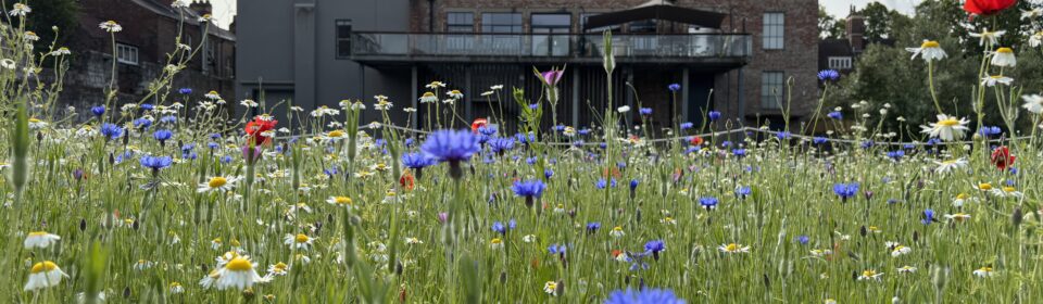 Art Outdoors: Make a Splash